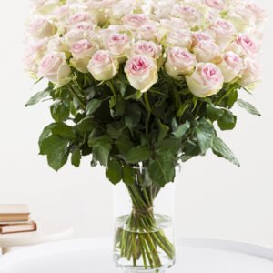 100 tot en met 499 zachtroze rozen - XL rozen - Sweet Revival
