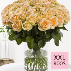 100 tot en met 499 XXL zalmkleurige rozen