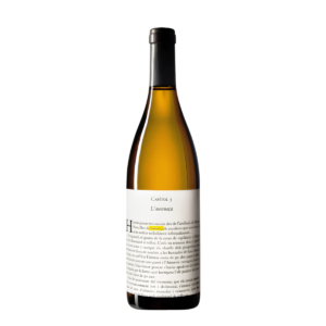 Llavors Blanc 2024 - 13% - 75cl