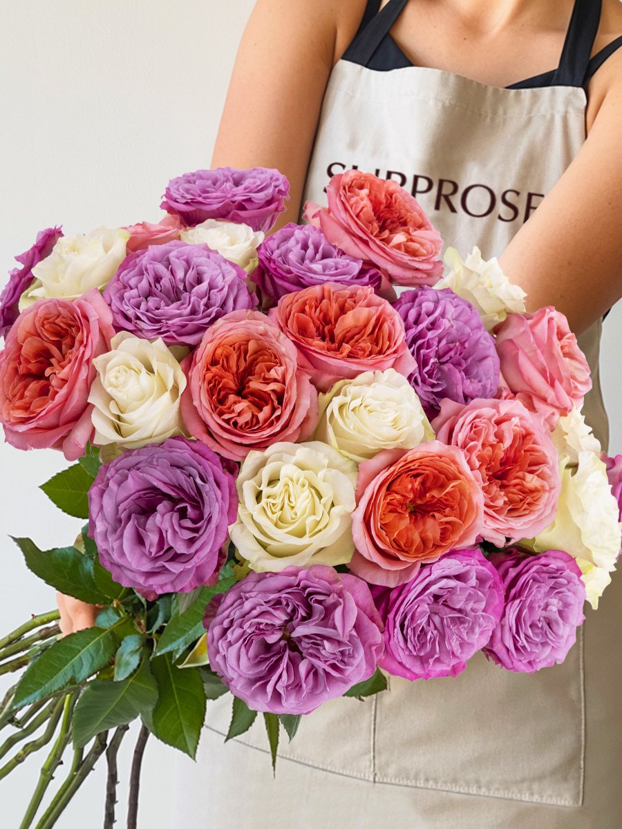Mix boeket paars-roze-wit | Rozen uit Ecuador 1 Mix boeket paars-roze-wit | Rozen uit Ecuador