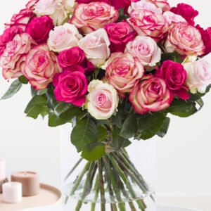 Rozenmix roze rozen